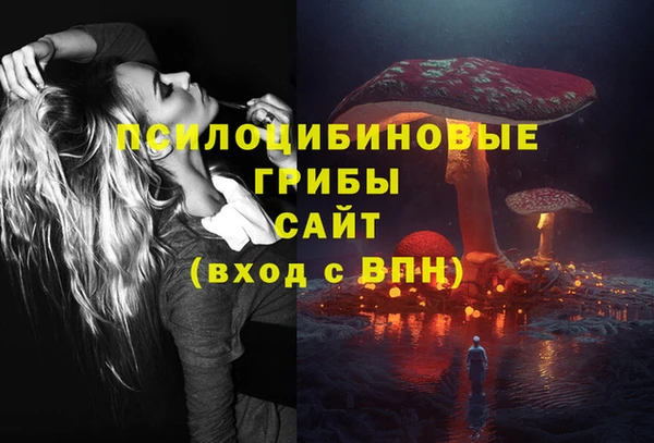 спиды Алексин