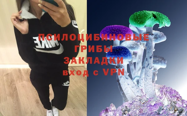 ECSTASY Алзамай