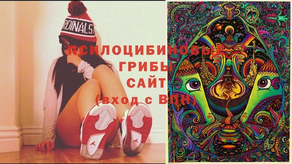 ECSTASY Алзамай