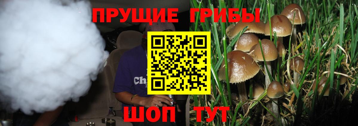 Галлюциногенные грибы Magic Shrooms  Псилоцибиновые грибы MAGIC MUSHROOMS  Вход с VPN  Сосновоборск 